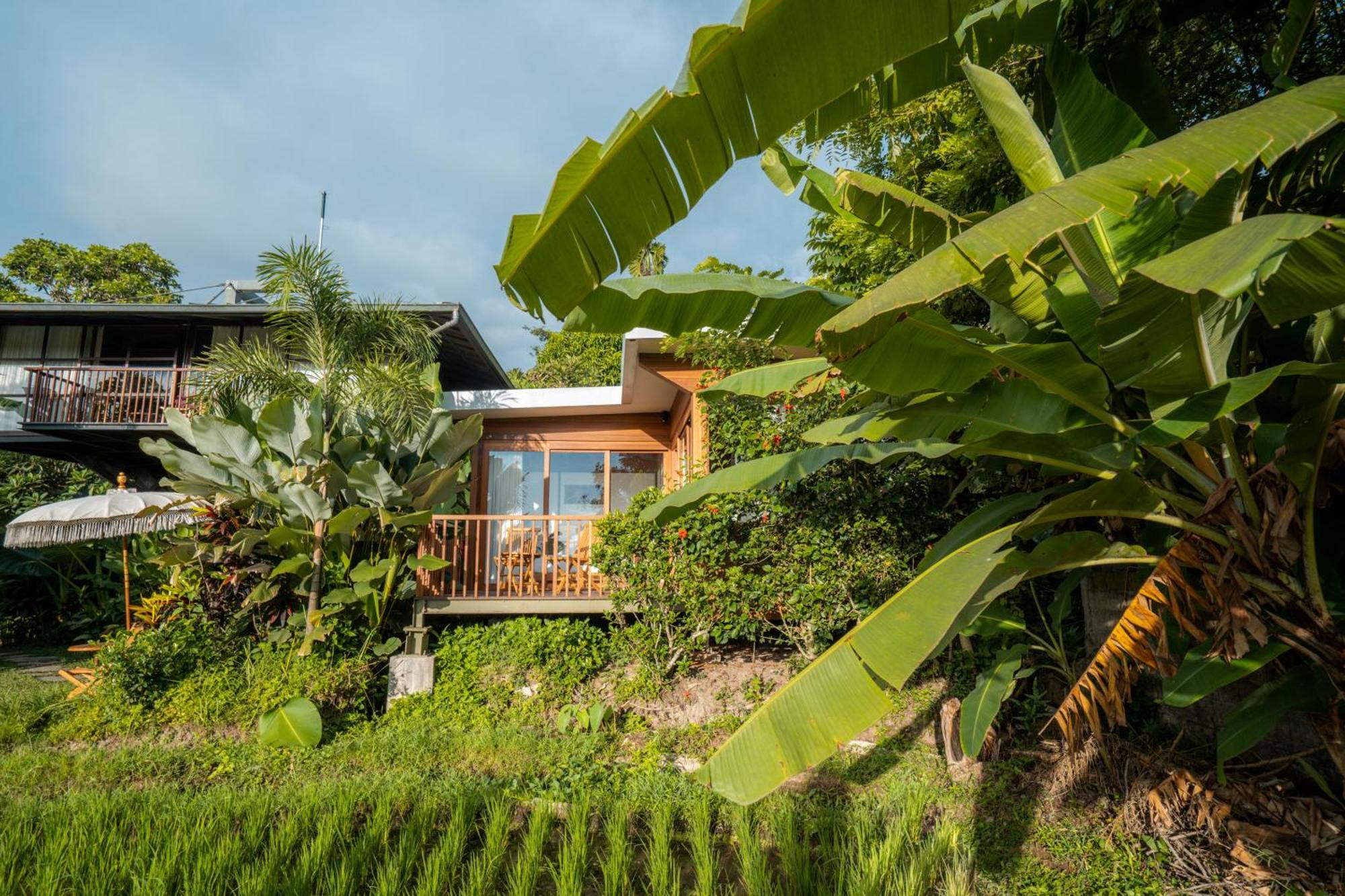 Grün Ubud Dış mekan fotoğraf