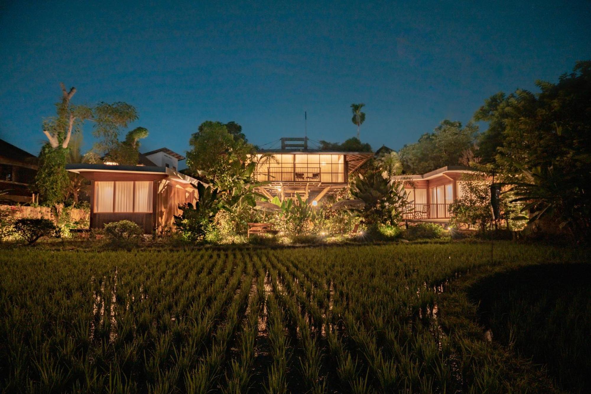 Grün Ubud Dış mekan fotoğraf