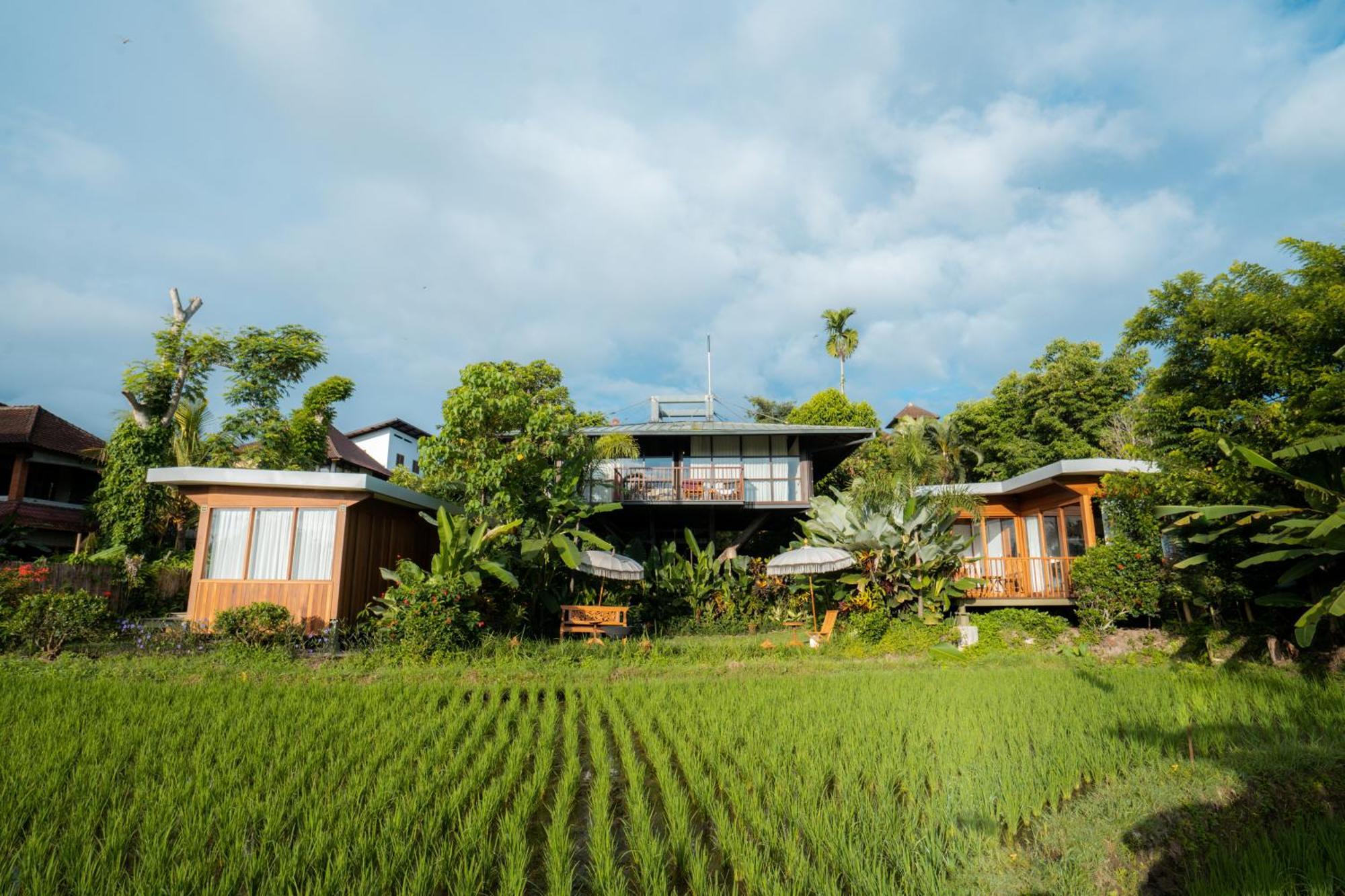 Grün Ubud Dış mekan fotoğraf