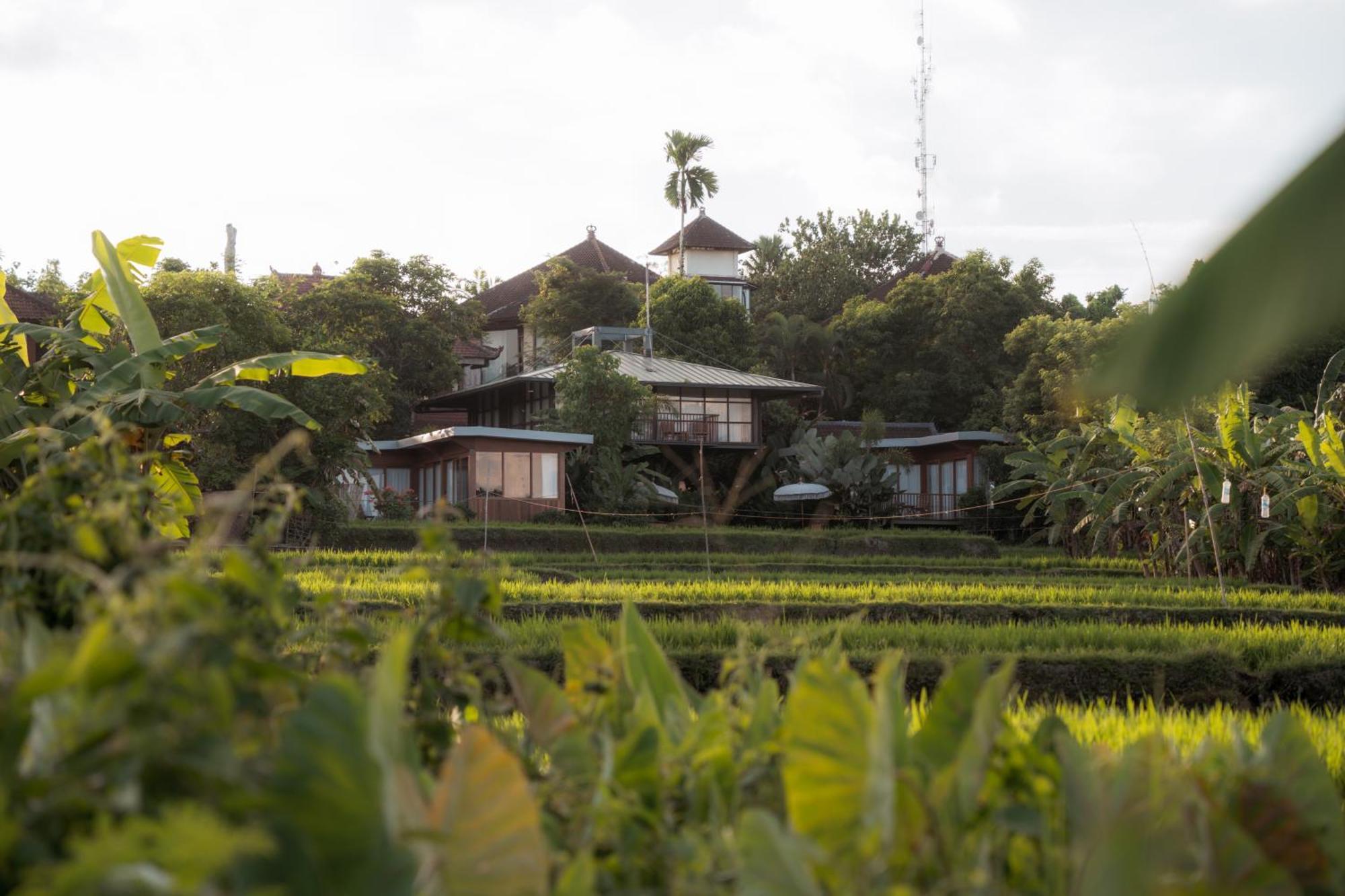 Grün Ubud Dış mekan fotoğraf