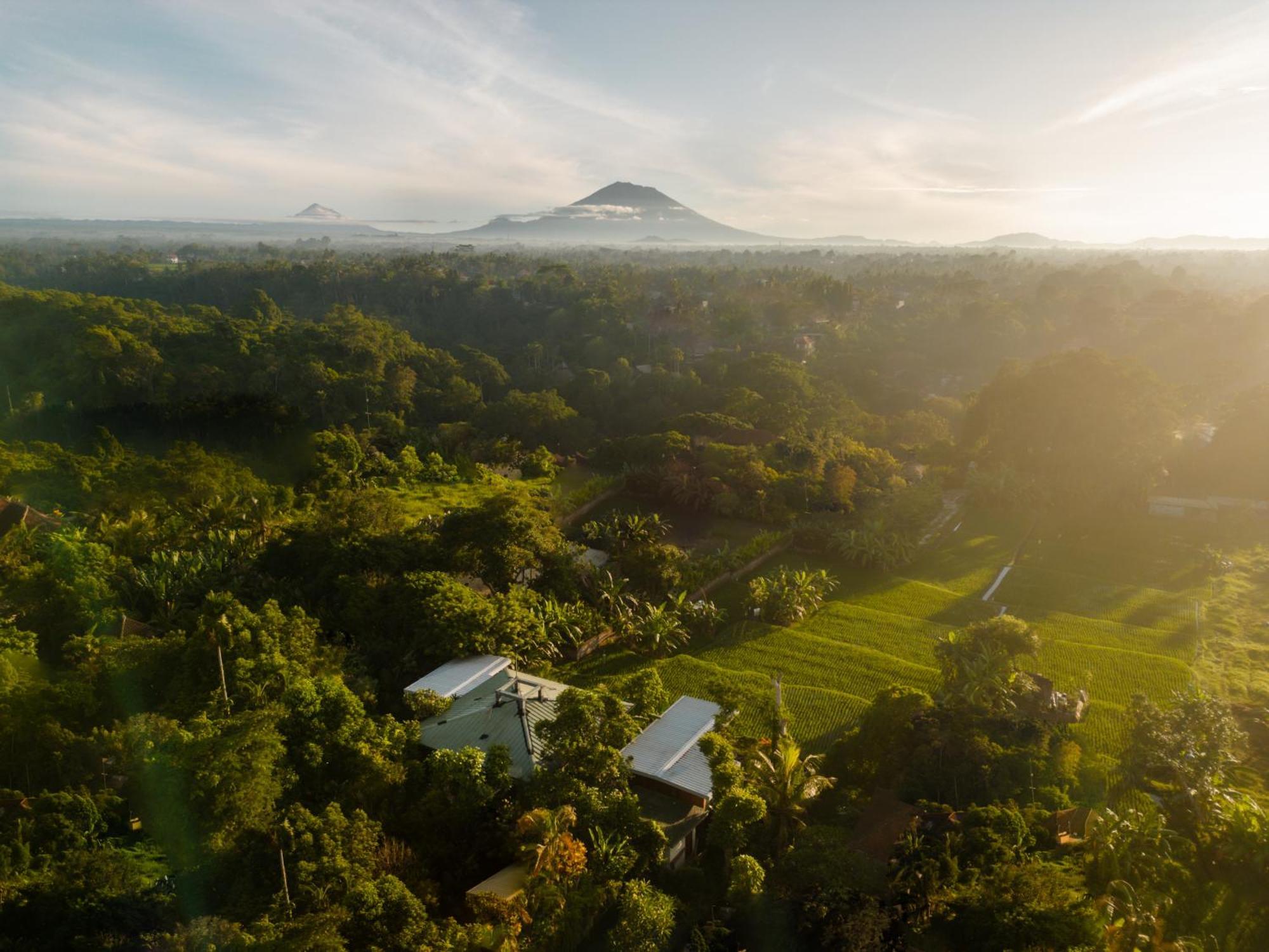 Grün Ubud Dış mekan fotoğraf