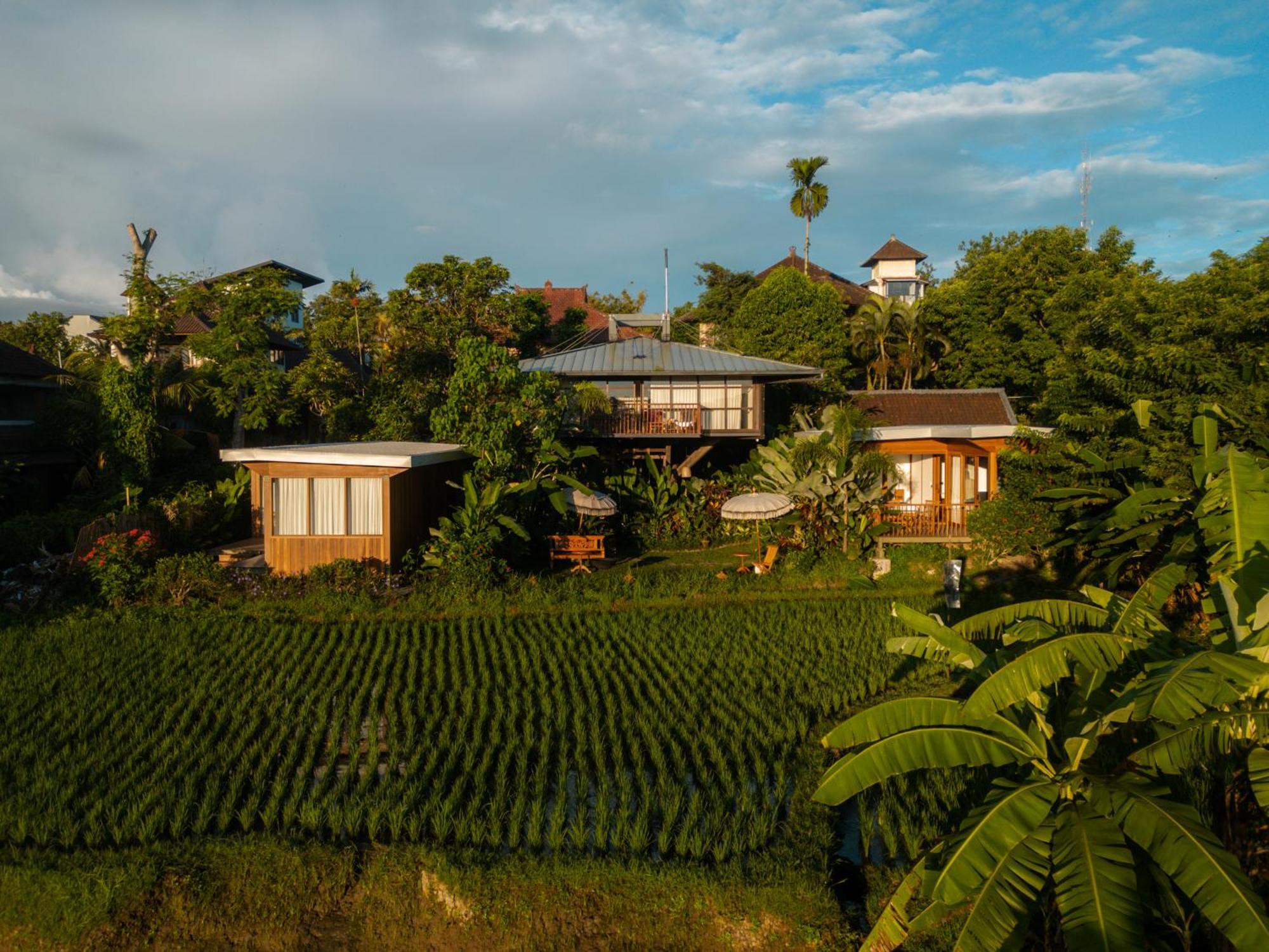 Grün Ubud Dış mekan fotoğraf