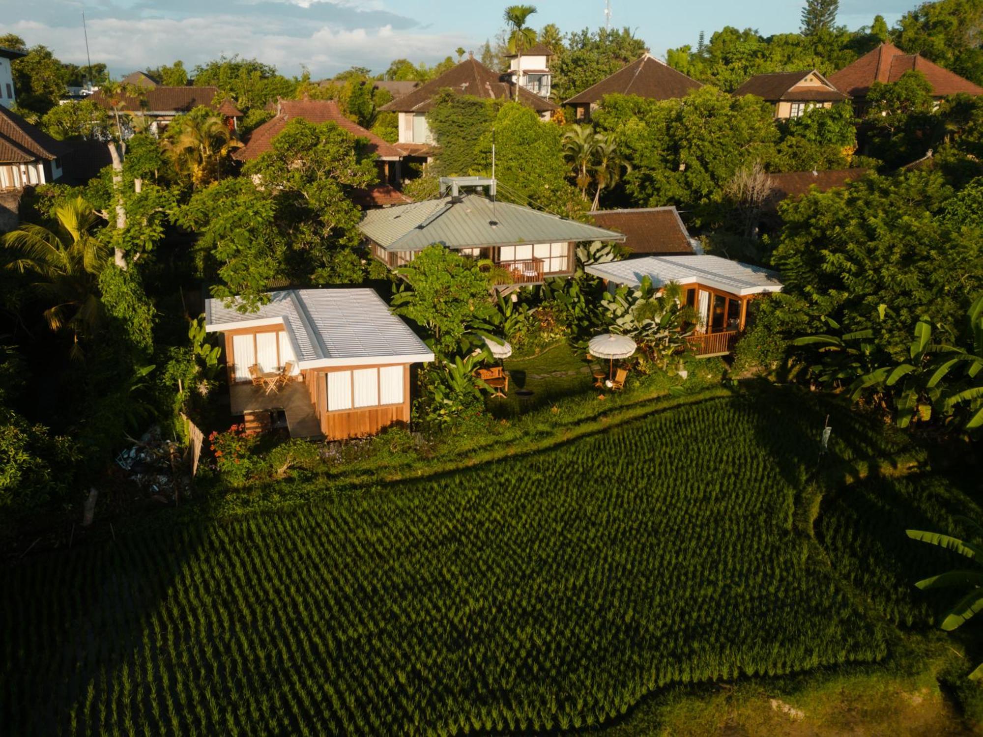Grün Ubud Dış mekan fotoğraf