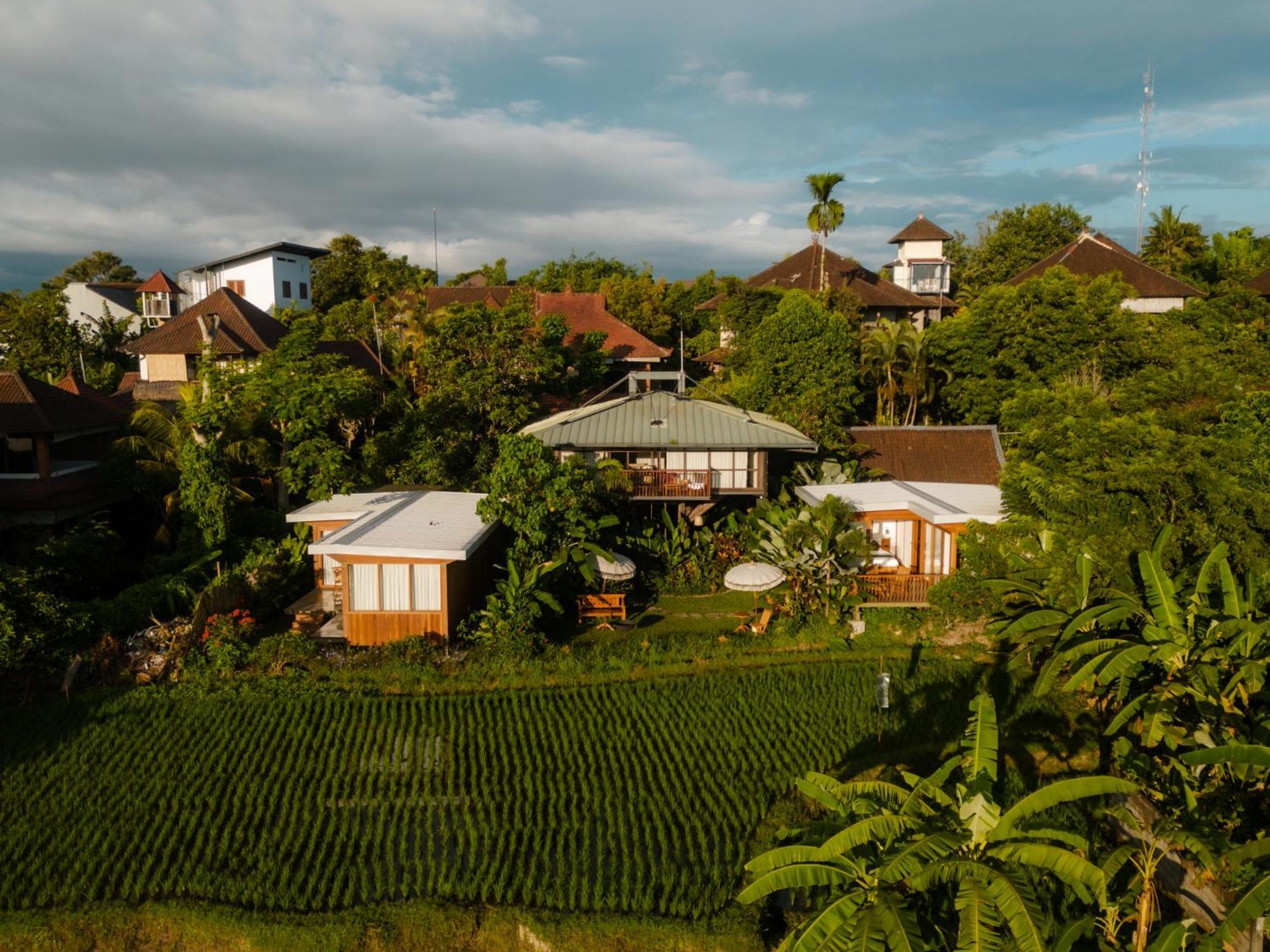 Grün Ubud Dış mekan fotoğraf